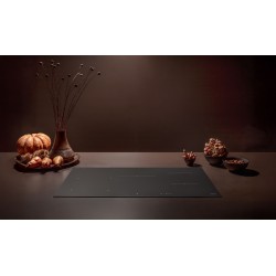 INDUC90BM